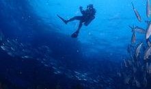 一线吃瓜by海底见月小说免费阅读,海底见月小说免费阅读，揭秘娱乐圈风云